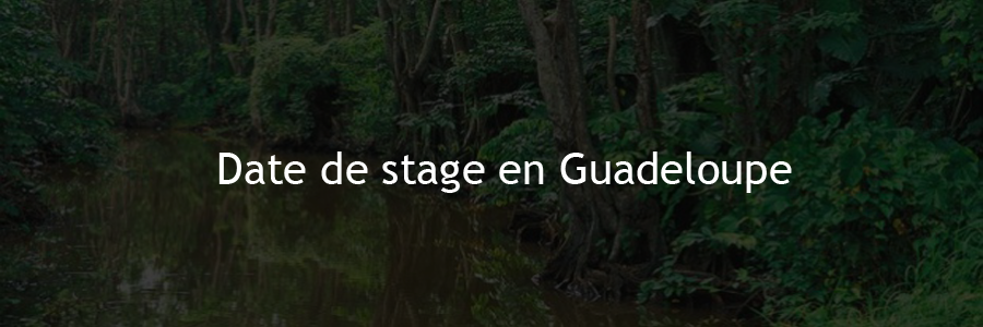 Dates Guadeloupe