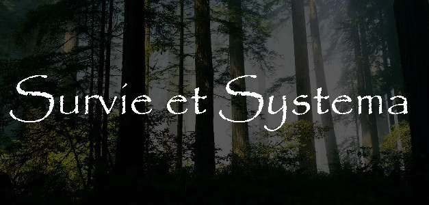 Stage Survie – Systema