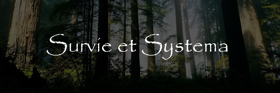 Stage Survie – Systema