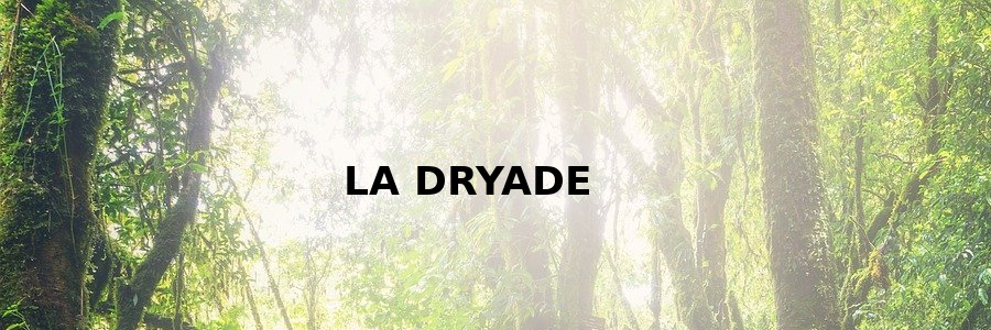 La Dryade